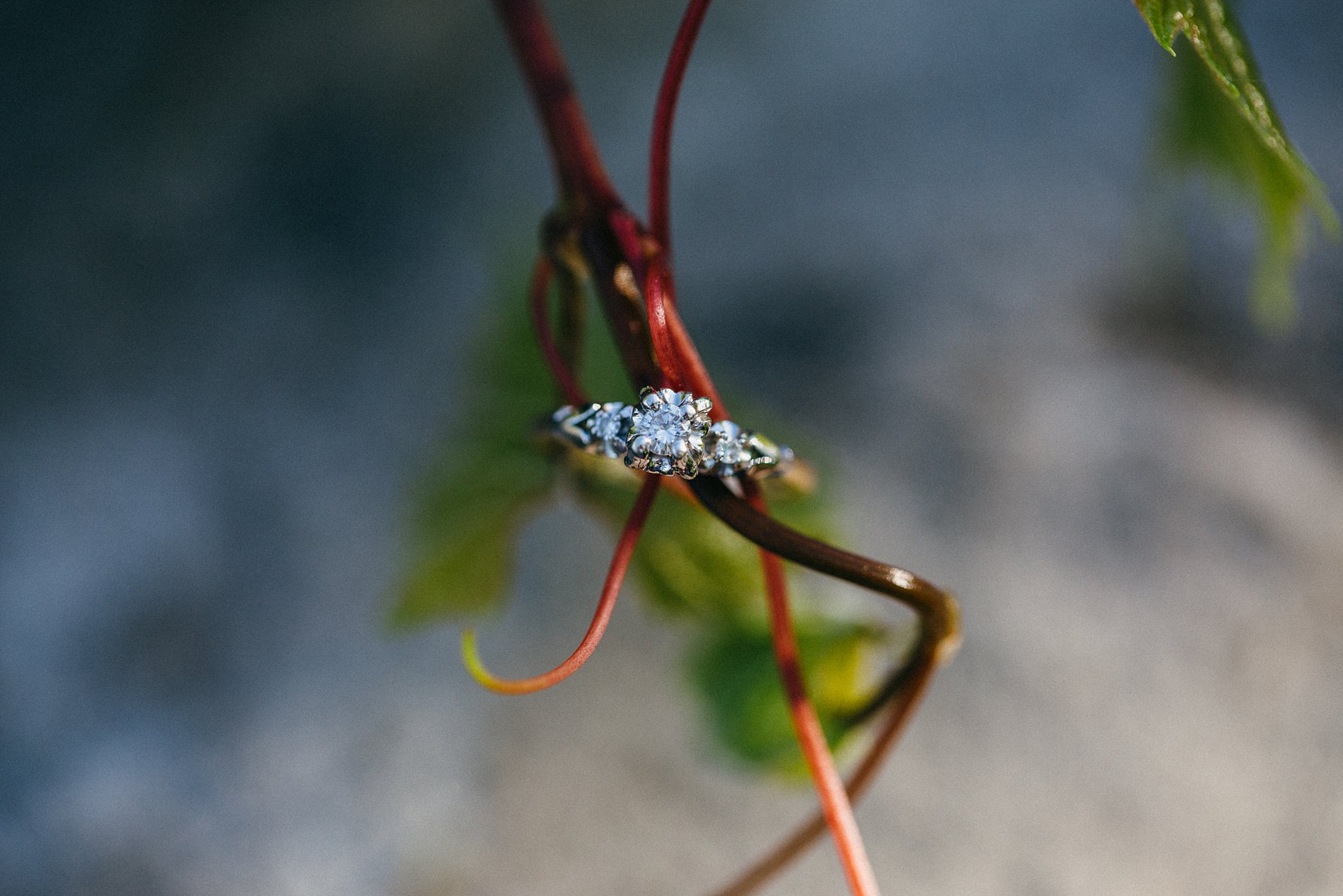 Jennifer Blaak Photography, Hamilton Wedding Photographer, Engagement Session at the Hamilton Beach, Engagement Ring on Vine