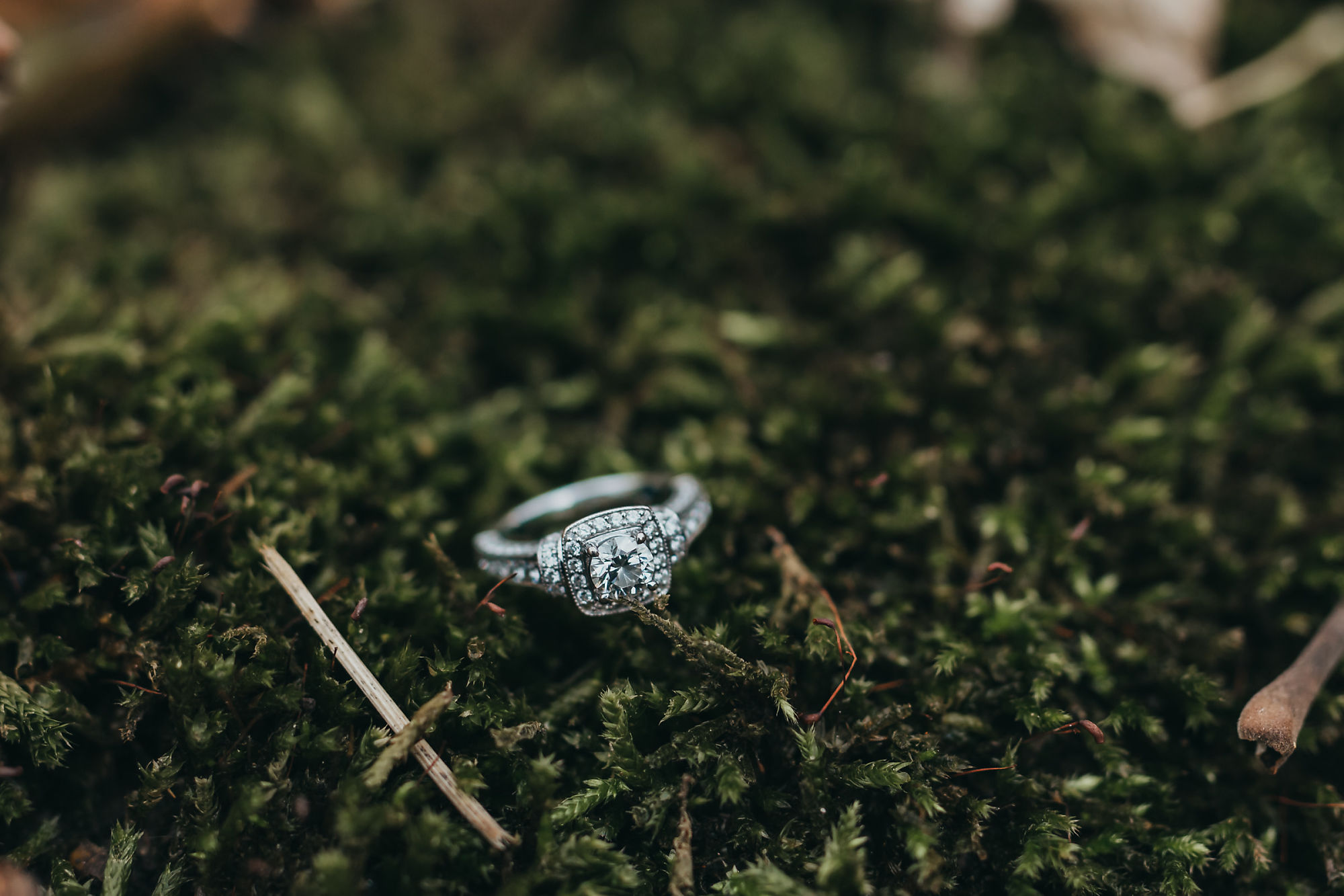 Detail shoot of the engagement ring on moss near Smokey Hollow Falls during an engagement session in Dundas Ontario with photographer Jennifer Blaak.