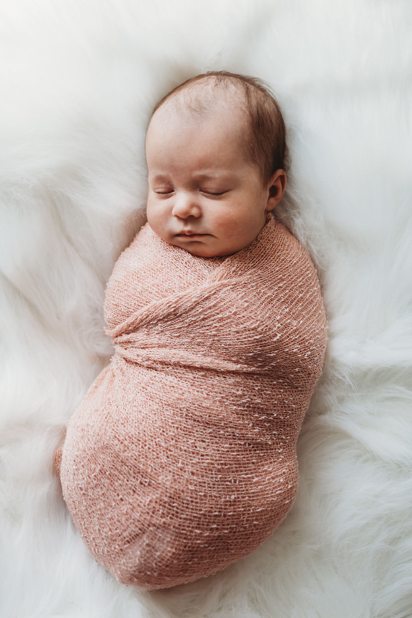 Lifestyle Hamilton Newborn Photographer Jennifer Blaak captures baby swaddled in a gentle moment of rest during this newborn photography session in Hamilton.