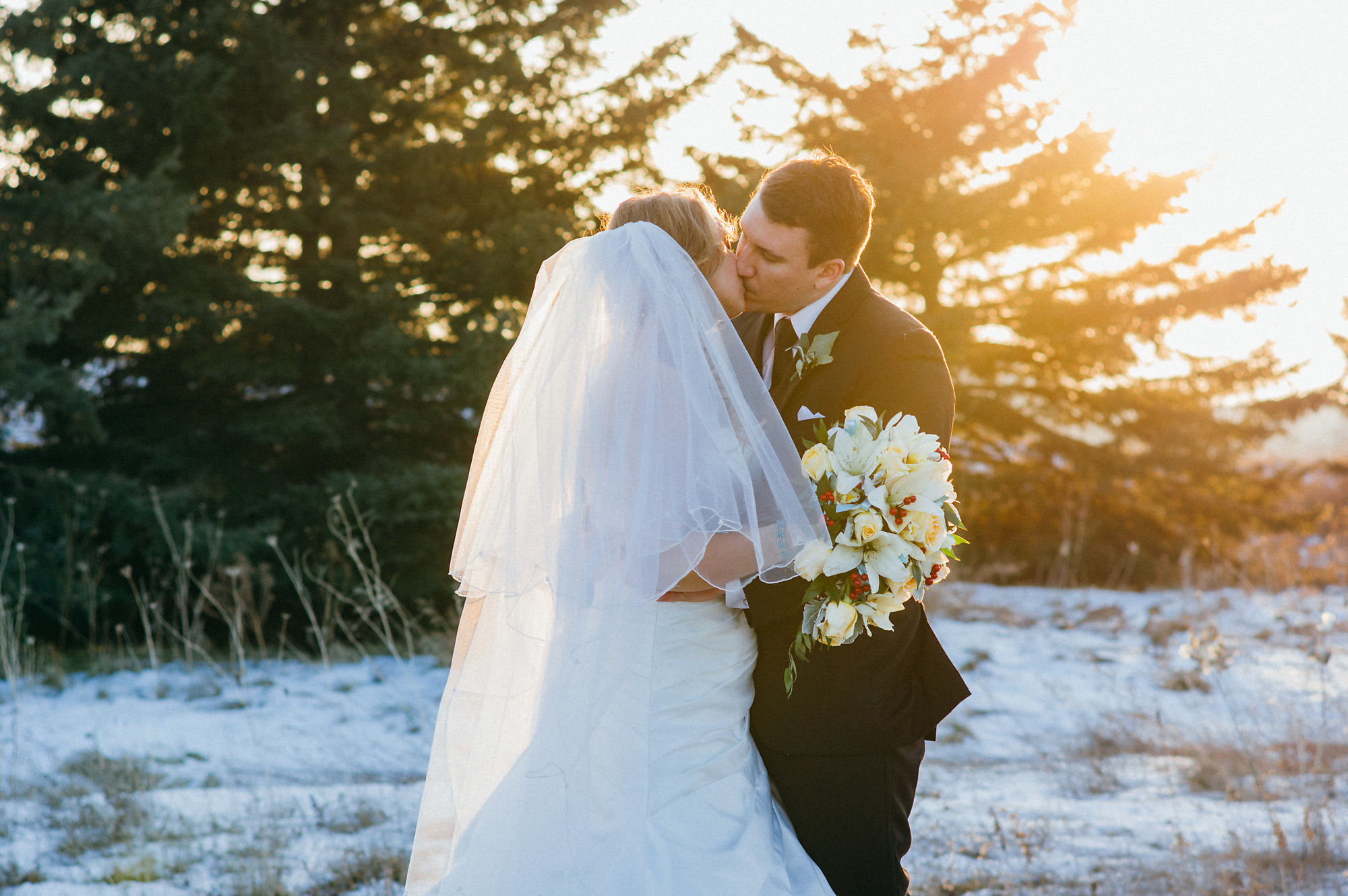 Portrait of the bride and groom kissing at sunset at Lesalle Park during their wedding shot with Burlington Wedding Photographer Jennifer Blaak.