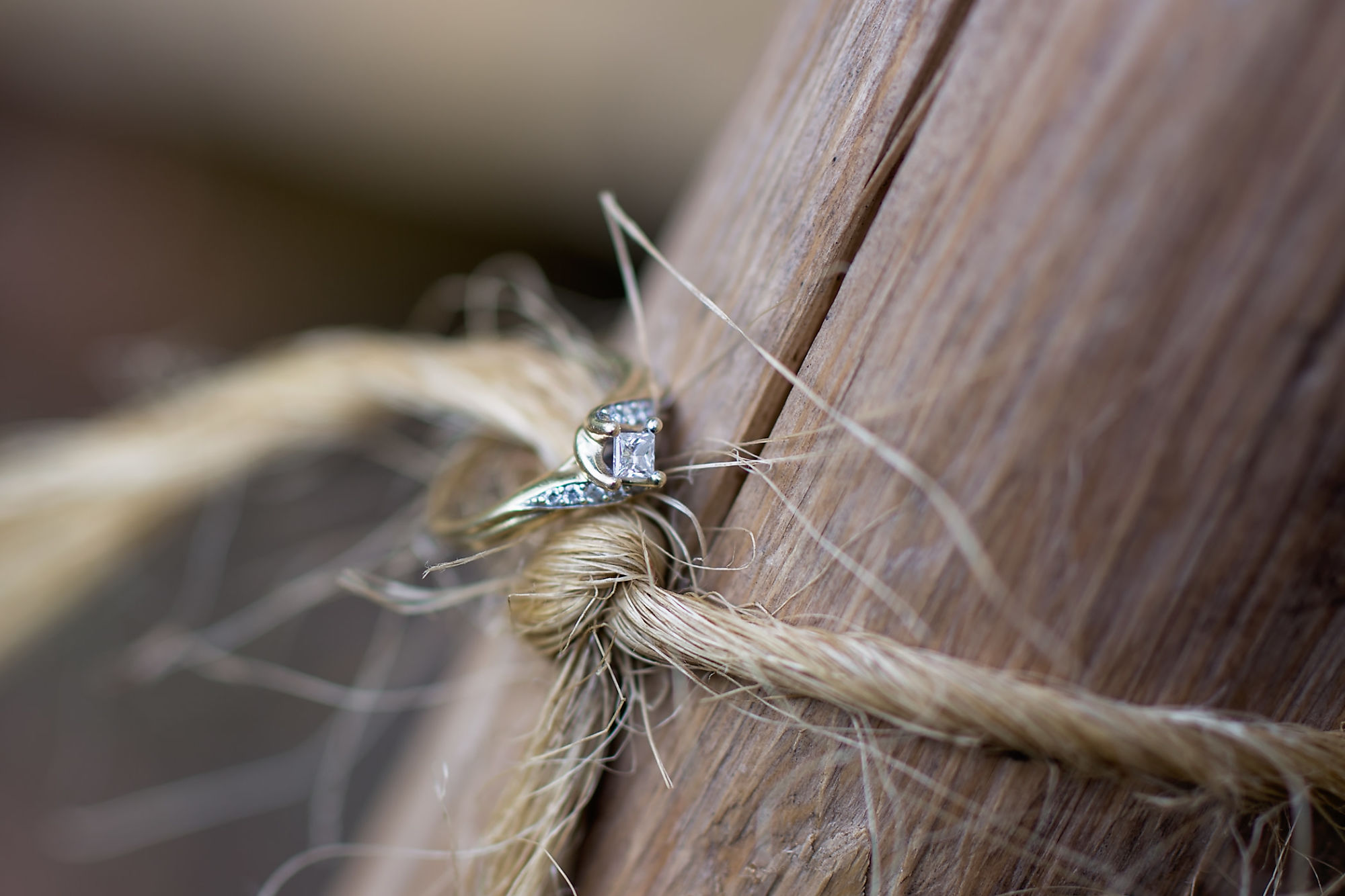 Engagement ring tied to a log with twine during an engagement shoot with Waterdown Engagement Photographer Jennifer Blaak.