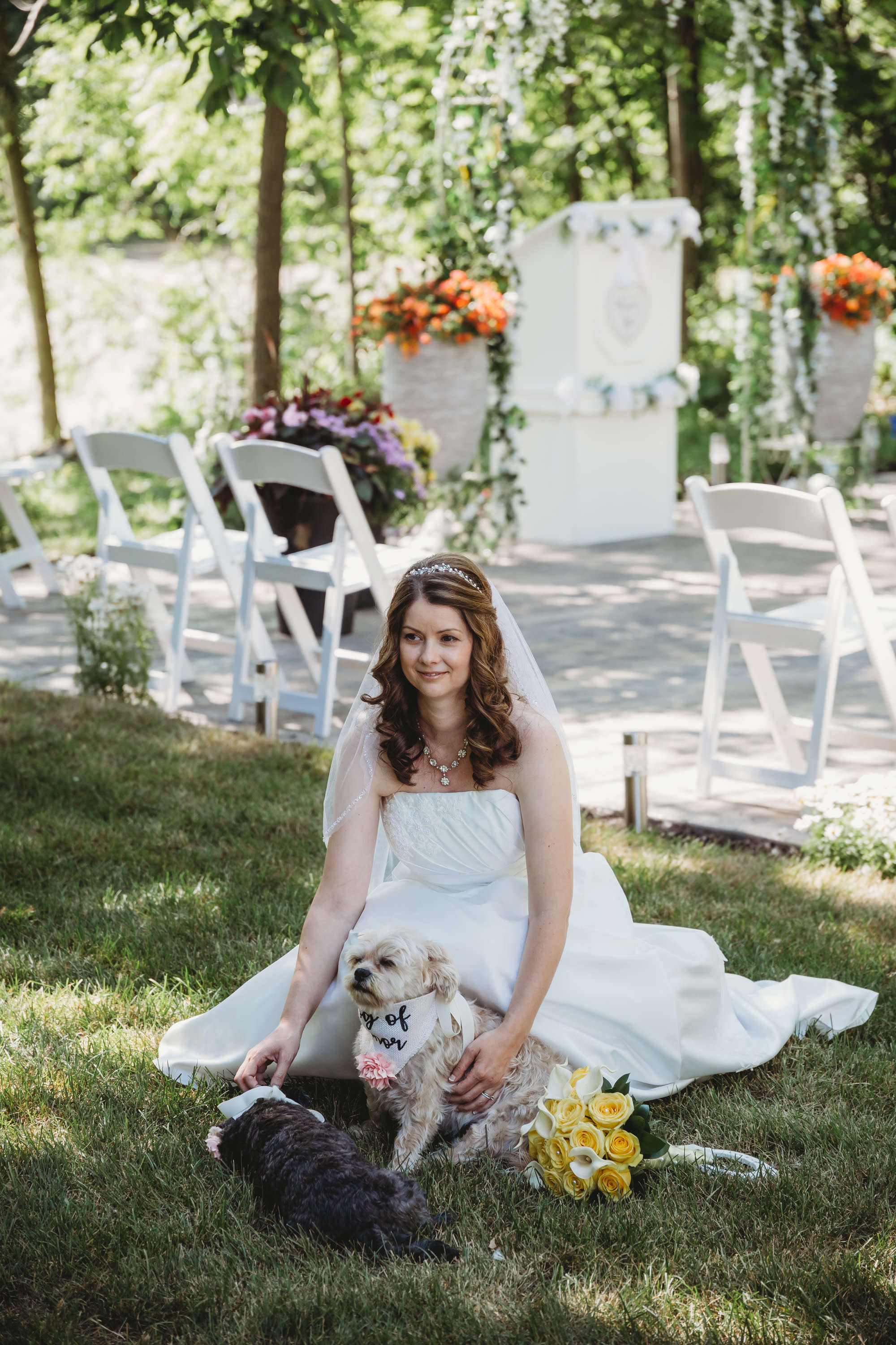 Brantford Wedding Photographer - bride with dogs