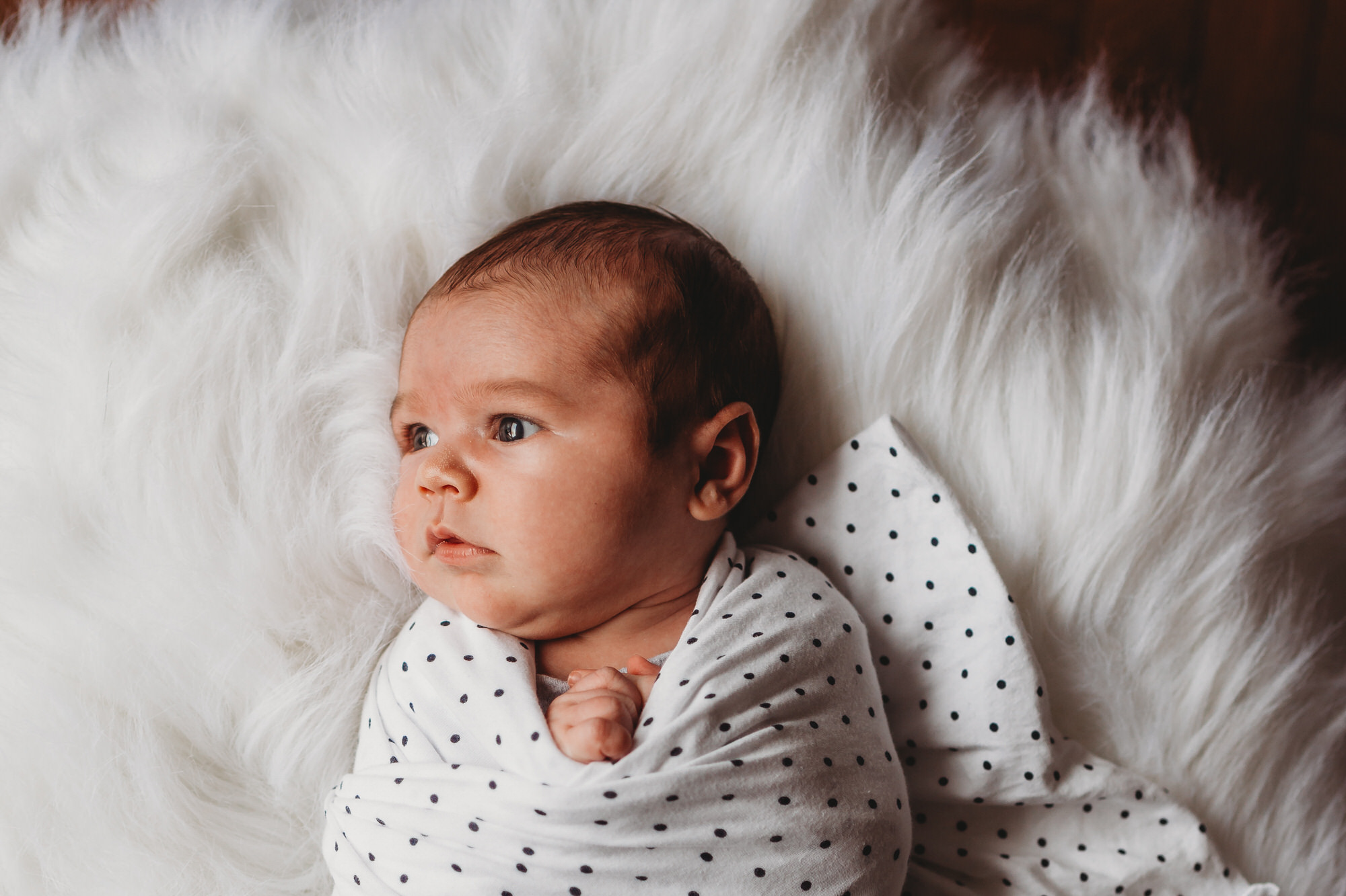 Tillsonburg Family Photographer - newborn photographer