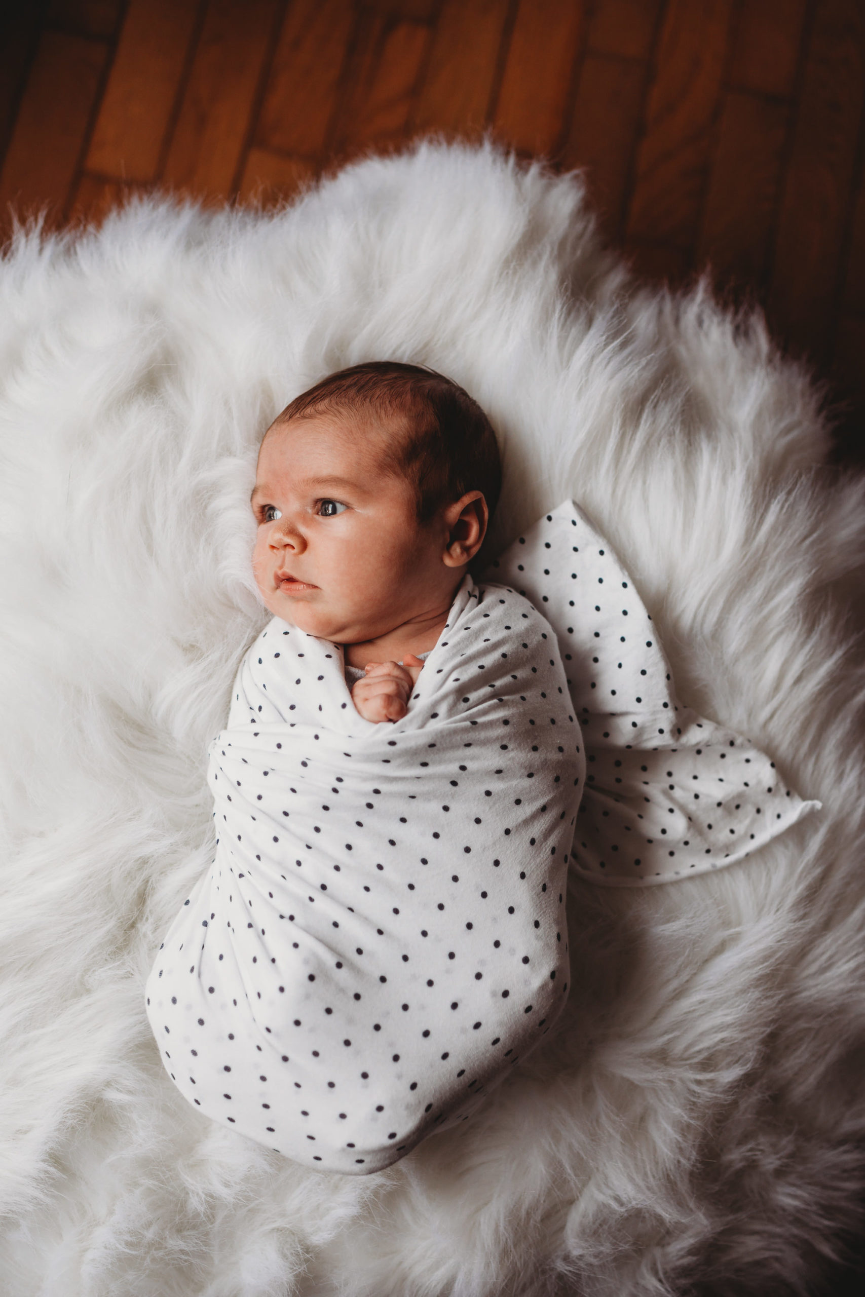 Tillsonburg newborn Photographer - newborn portrait