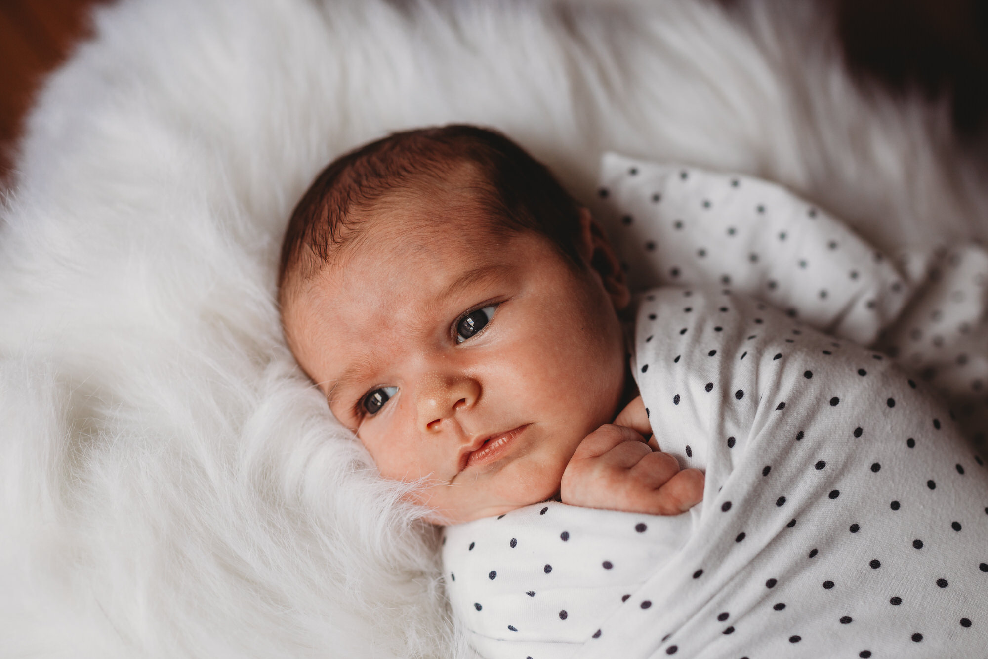 Tillsonburg newborn Photographer - newborn portrait on soft white