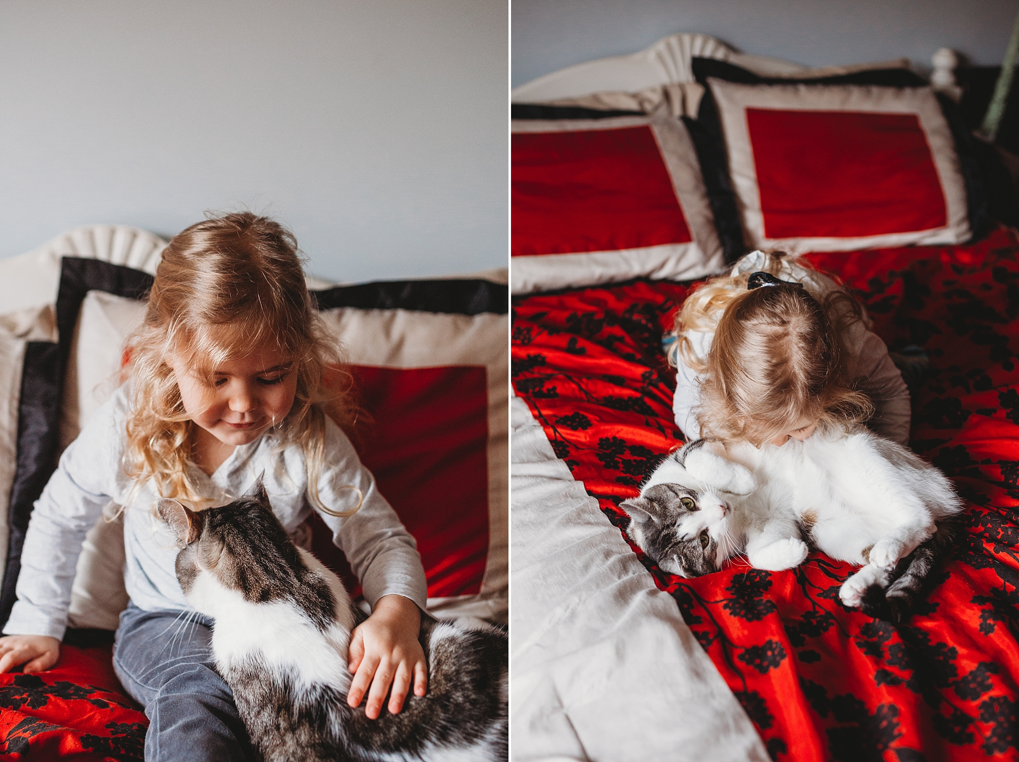Tillsonburg Family Photographer - daughter on bed with cat